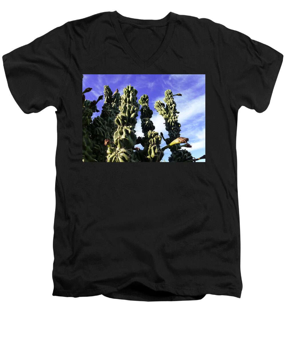 Cactus Men's V-Neck T-Shirt featuring the photograph Cactus 2 by Mariusz Kula