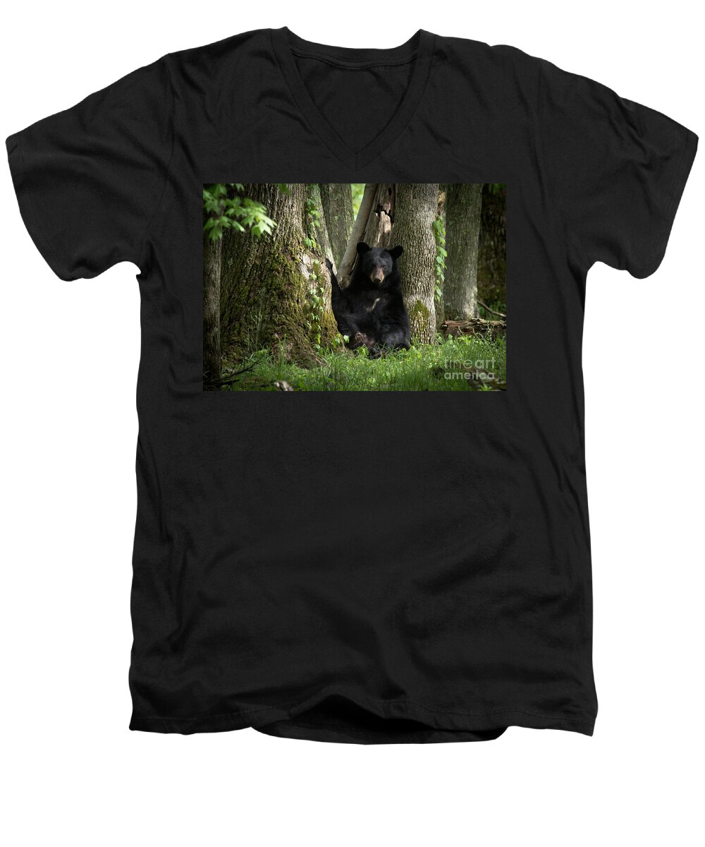 Cades Men's V-Neck T-Shirt featuring the photograph Cades Cove Bear by Douglas Stucky