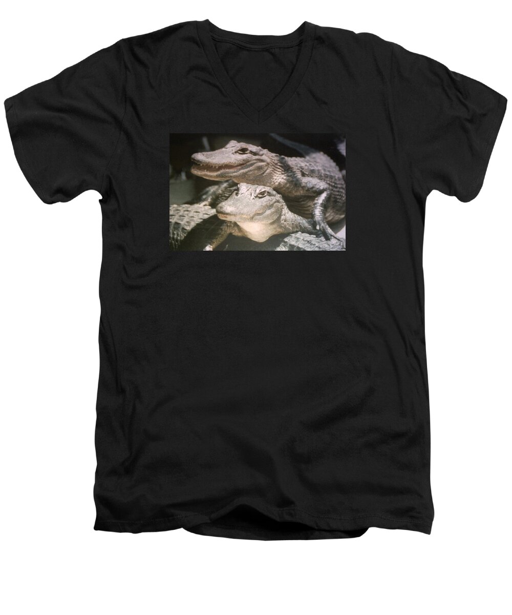 Baby Alligators Lying In The Sun Smiling And Chilling Posing For Me Men's V-Neck T-Shirt featuring the photograph Florida Alligators Come closer by Belinda Lee