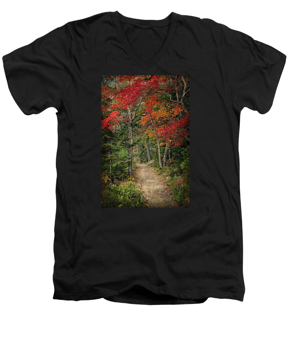 Autumn Men's V-Neck T-Shirt featuring the photograph Come Walk with Me by Priscilla Burgers