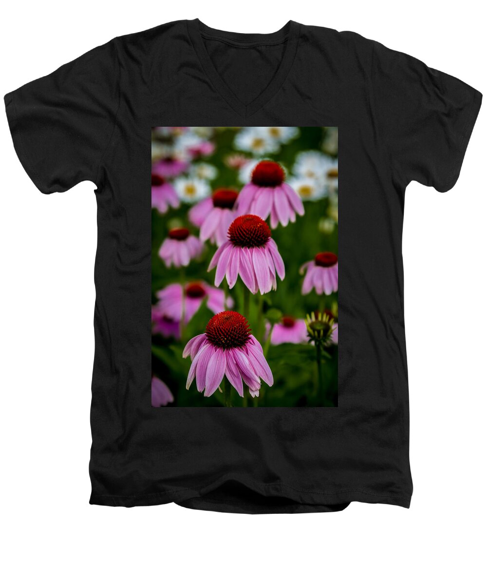 Art Men's V-Neck T-Shirt featuring the photograph Coneflowers in Front of Daisies by Ron Pate