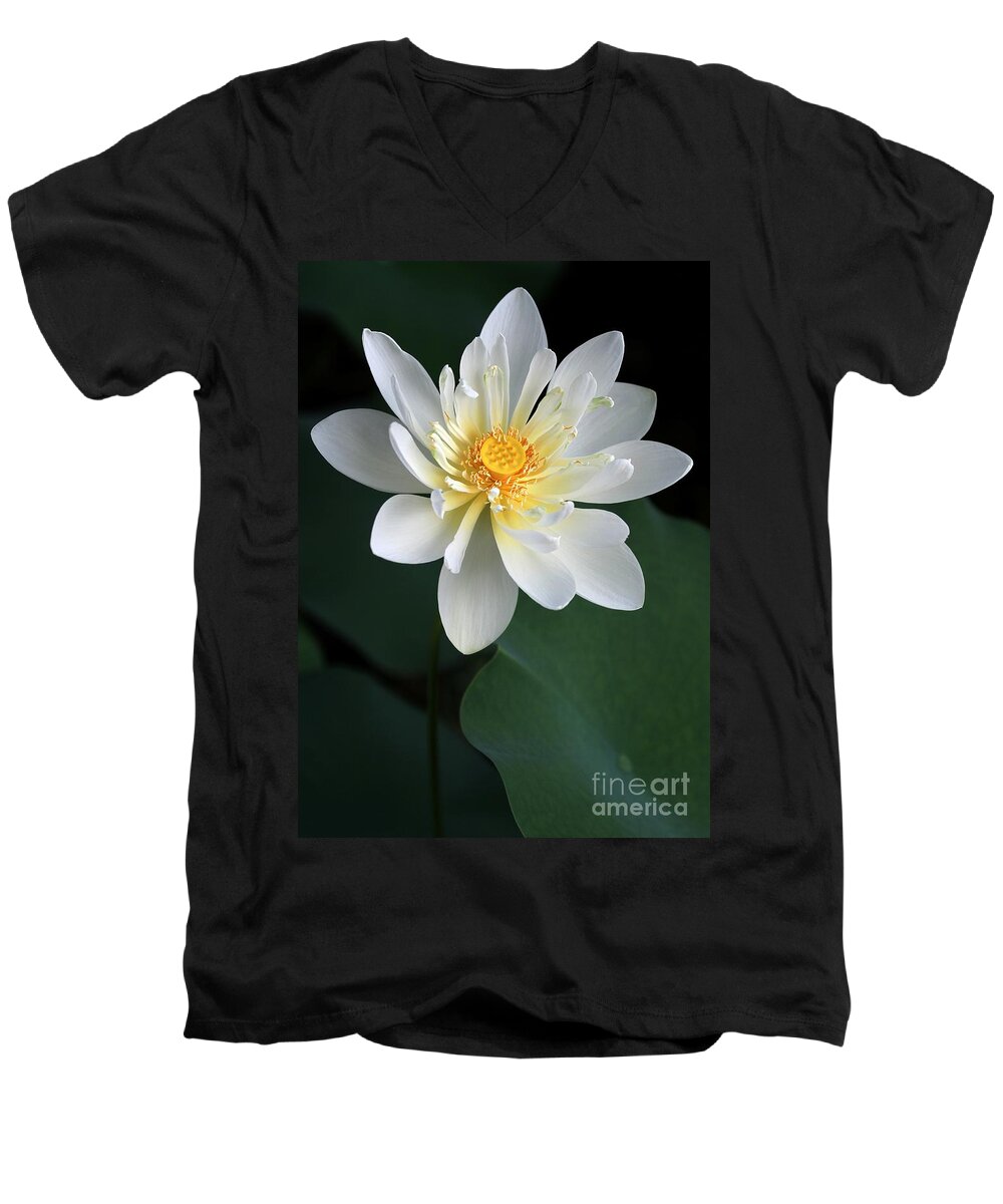 Lotus Men's V-Neck T-Shirt featuring the photograph Confidence by Sabrina L Ryan
