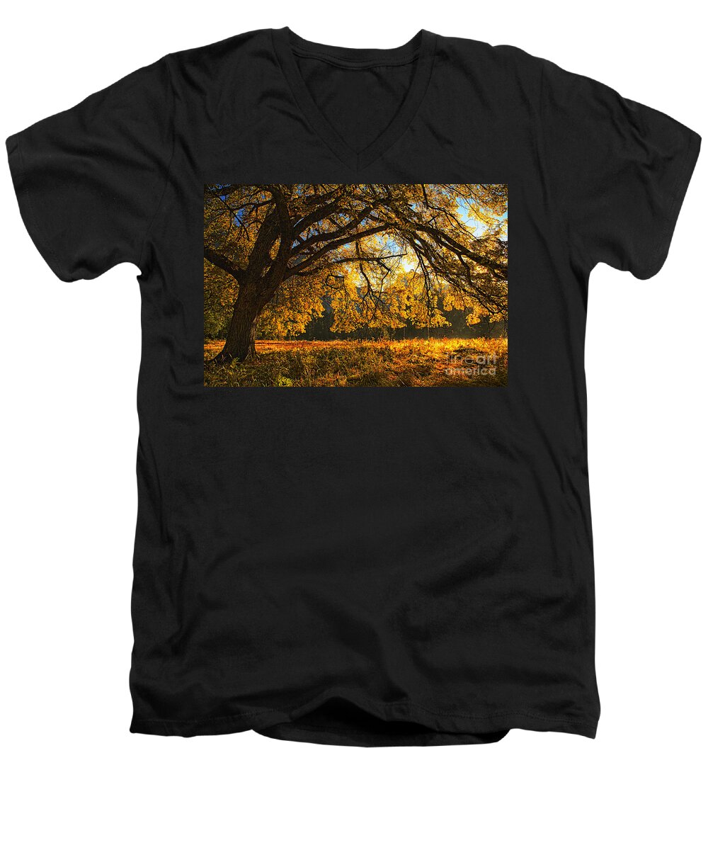 Cook's Meadow At Yosemite Men's V-Neck T-Shirt featuring the photograph Cook's Meadow at Yosemite by Priscilla Burgers