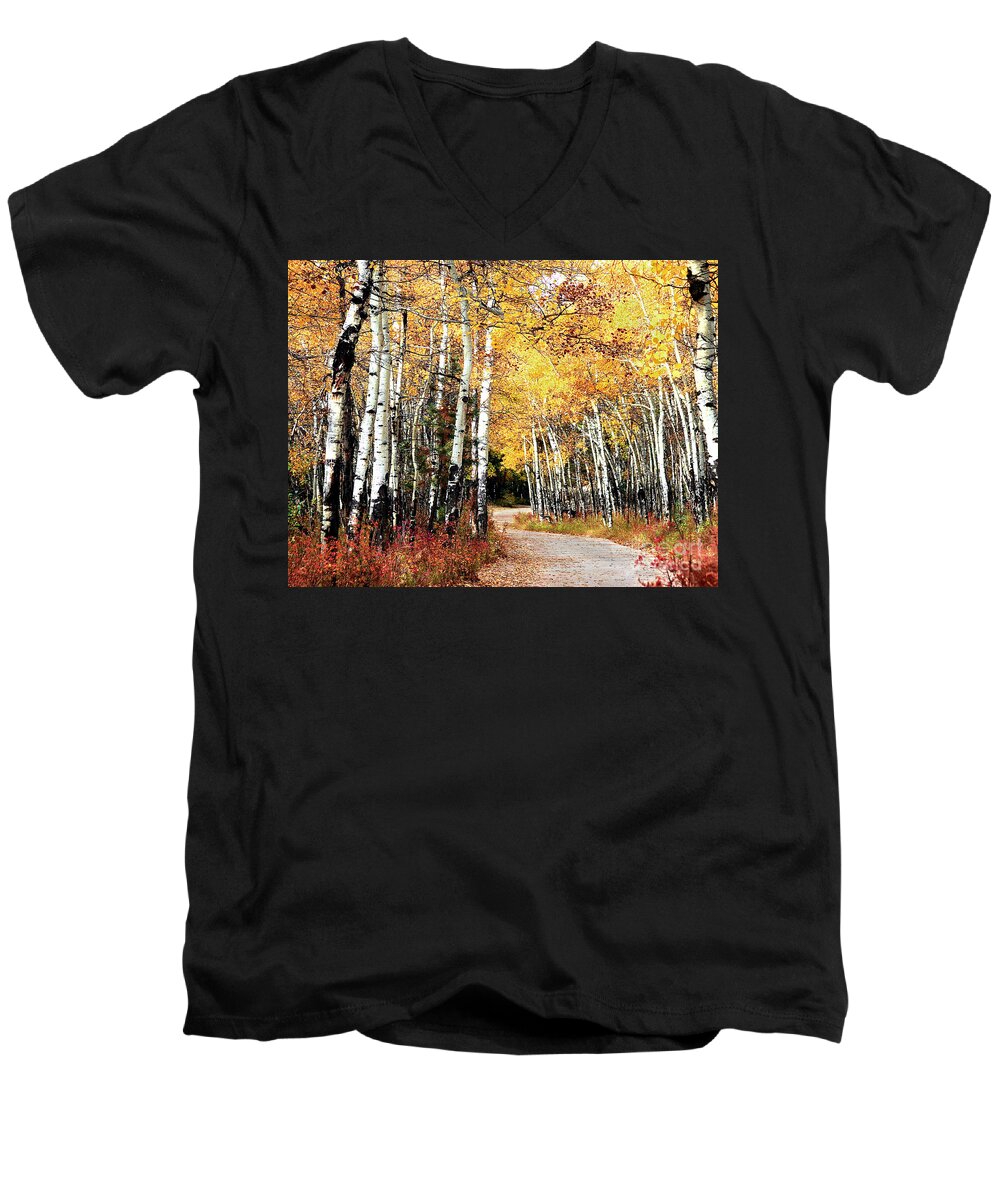 Landscape Men's V-Neck T-Shirt featuring the photograph Country Roads by Steven Reed