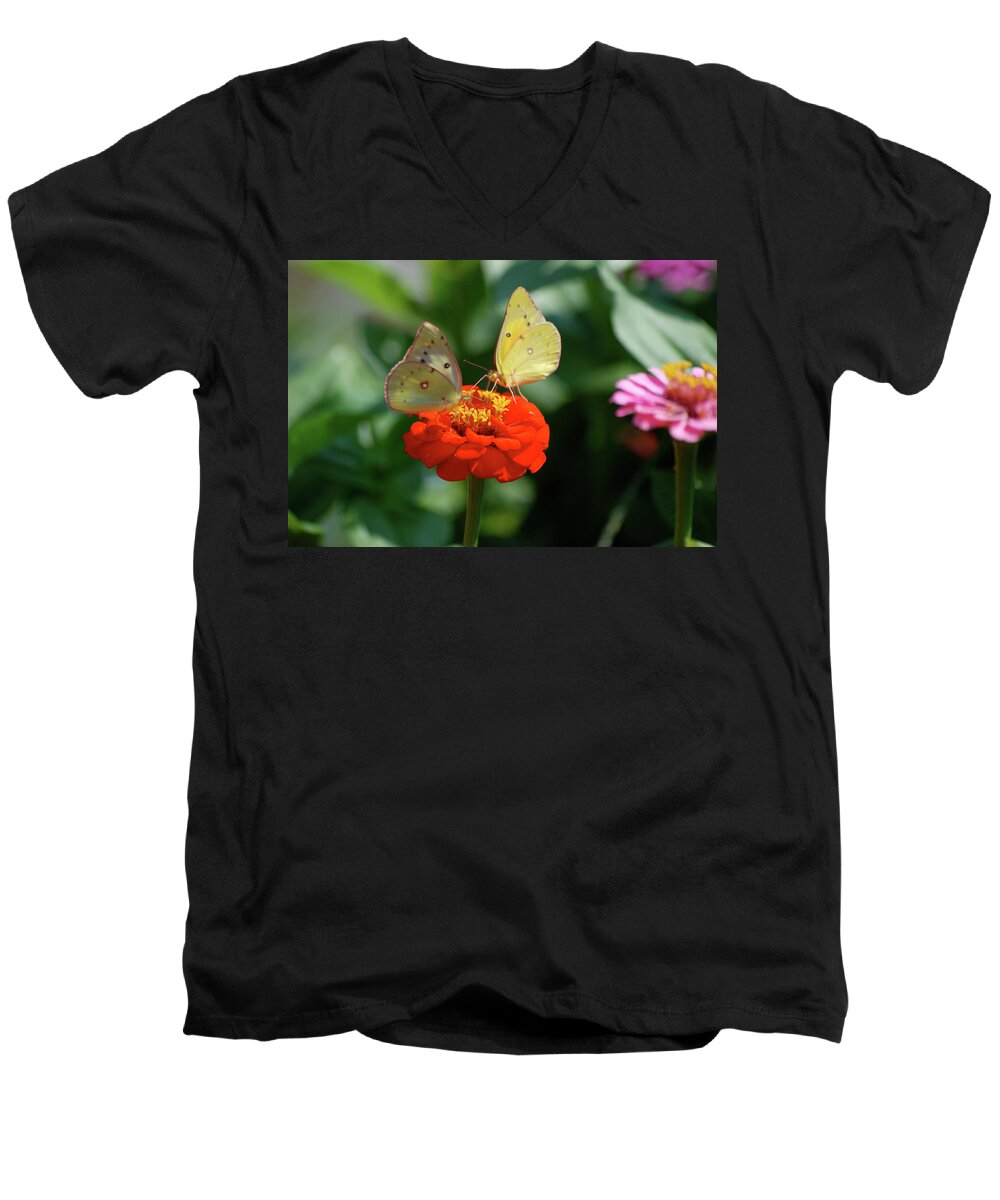 Animals Men's V-Neck T-Shirt featuring the photograph Dinner Table for Two Butterflies by Thomas Woolworth