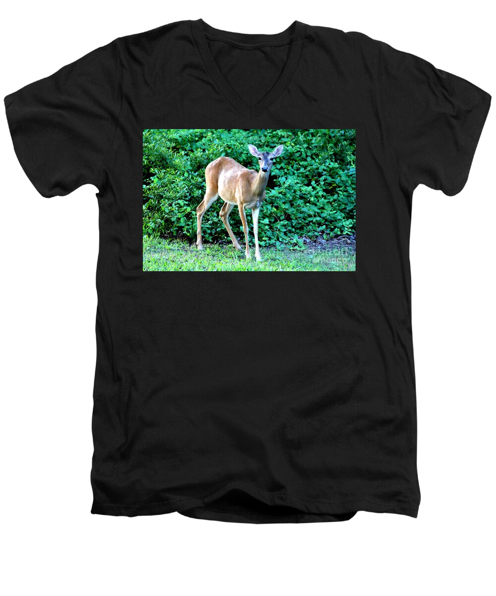 Doe Men's V-Neck T-Shirt featuring the photograph Doe A Deer by Kathy White