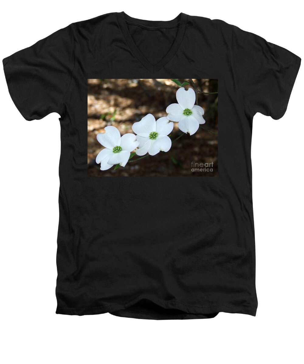 Dogwood Men's V-Neck T-Shirt featuring the photograph Dogwood by Andrea Anderegg