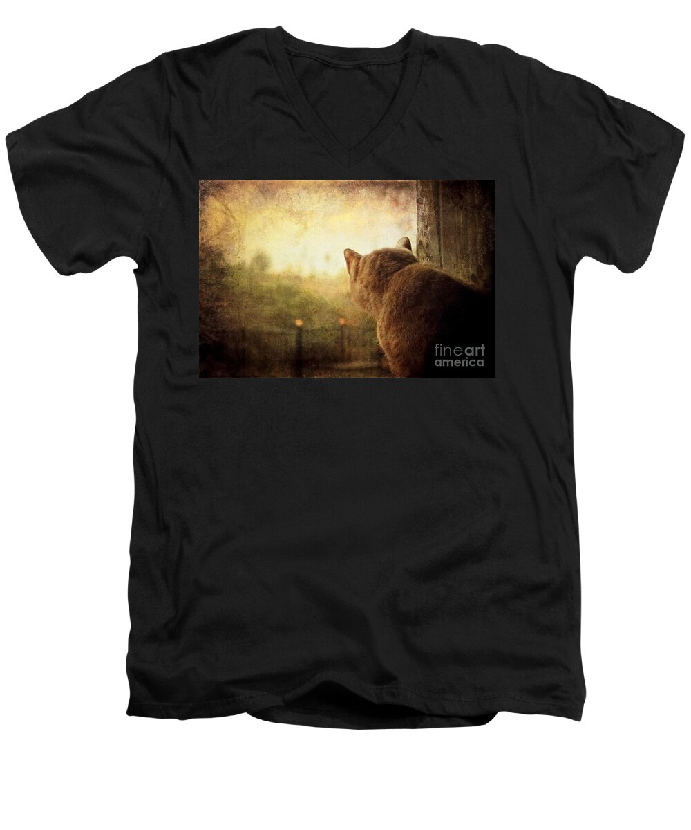 Cat Men's V-Neck T-Shirt featuring the photograph Dreamer by Ellen Cotton