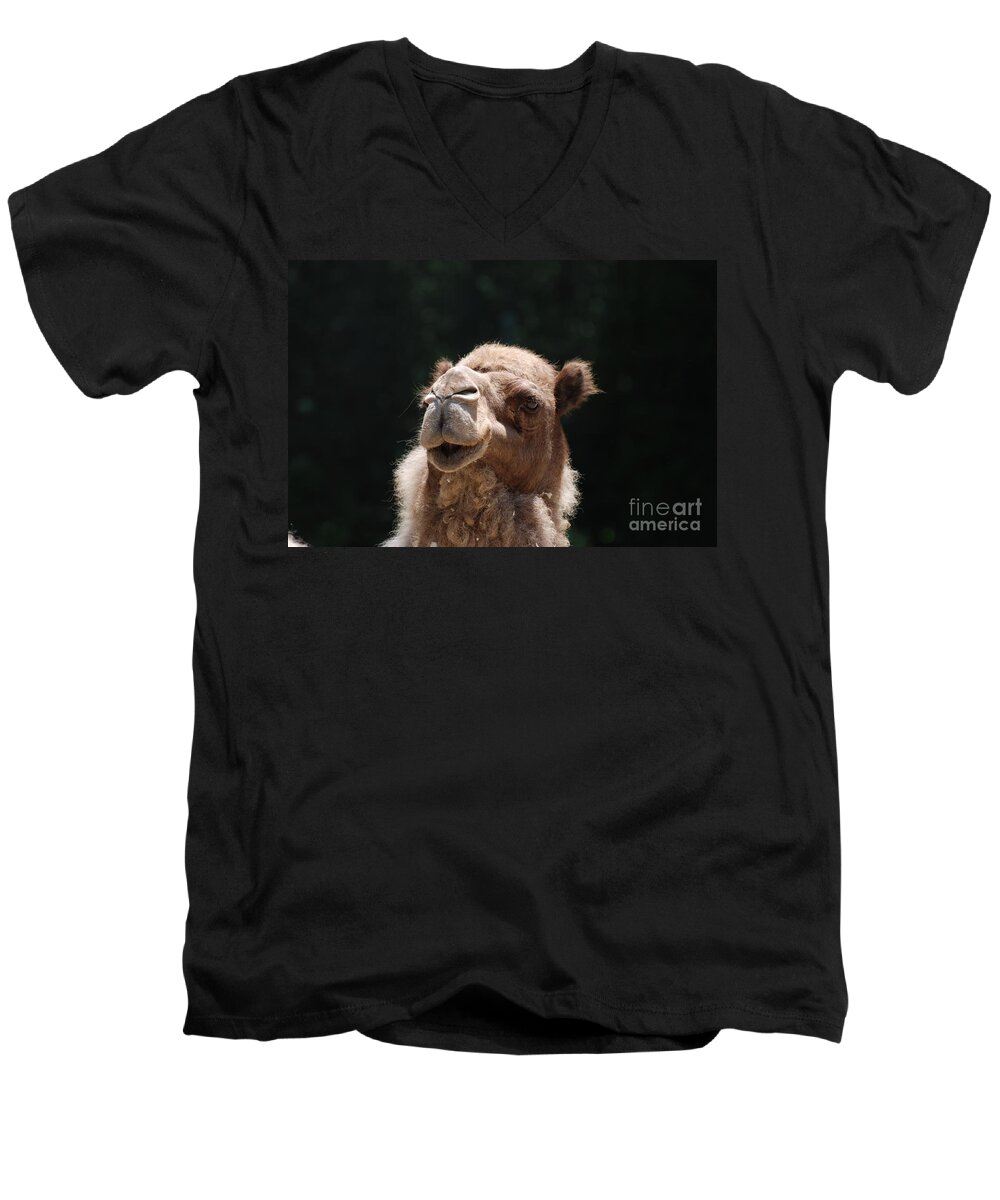 Camel Men's V-Neck T-Shirt featuring the photograph Dromedary Camel Face by DejaVu Designs