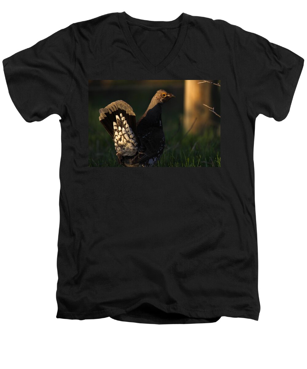 Big Horn Sheep Men's V-Neck T-Shirt featuring the photograph Dusky 8 by Kevin Dietrich
