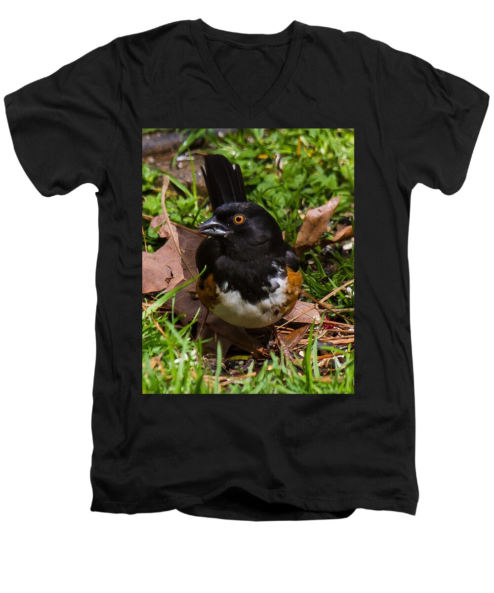 Eastern Towhee Men's V-Neck T-Shirt featuring the photograph Eastern Towhee - Male by Robert L Jackson