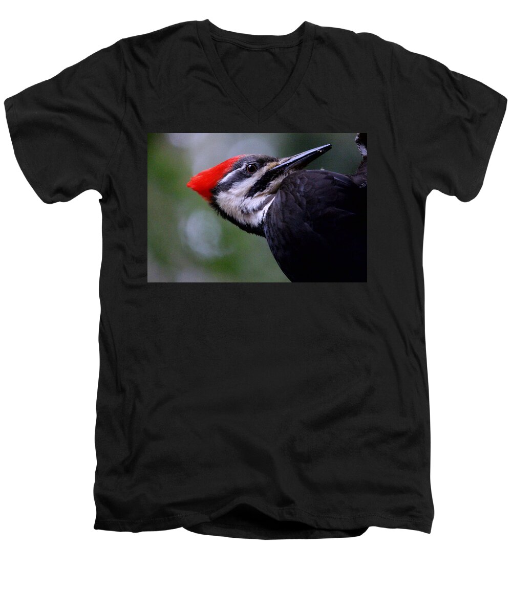 Animals Men's V-Neck T-Shirt featuring the photograph Eye to Eye with Big Woody by Kym Backland