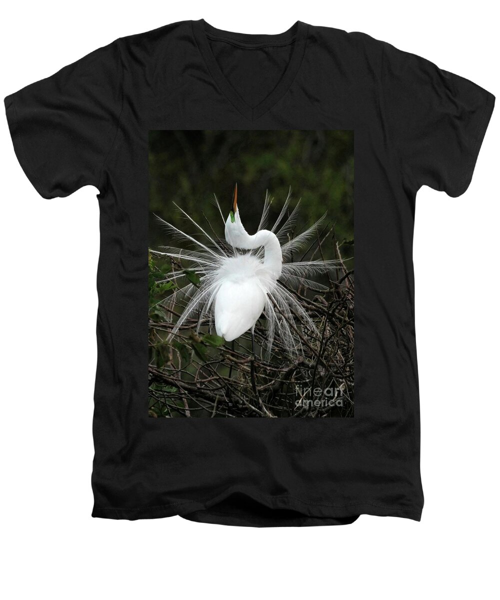 Great White Egret Men's V-Neck T-Shirt featuring the photograph Fabulous Feathers by Sabrina L Ryan
