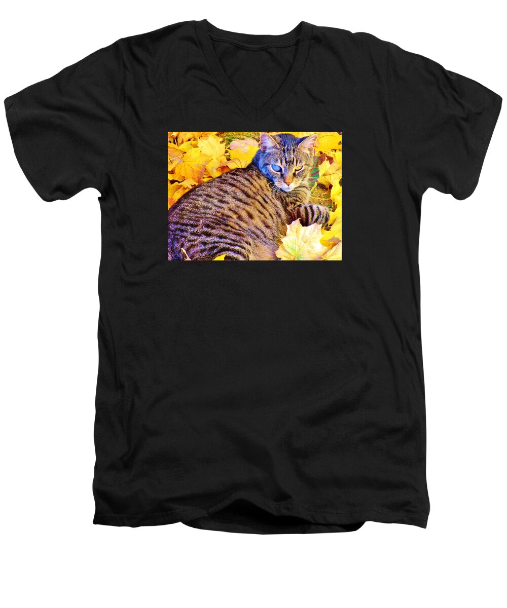 Leaves Men's V-Neck T-Shirt featuring the photograph Feeling Fall by Marilyn Diaz