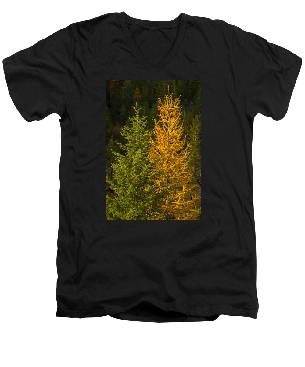 Trees Men's V-Neck T-Shirt featuring the photograph Felix and Oscar by Albert Seger