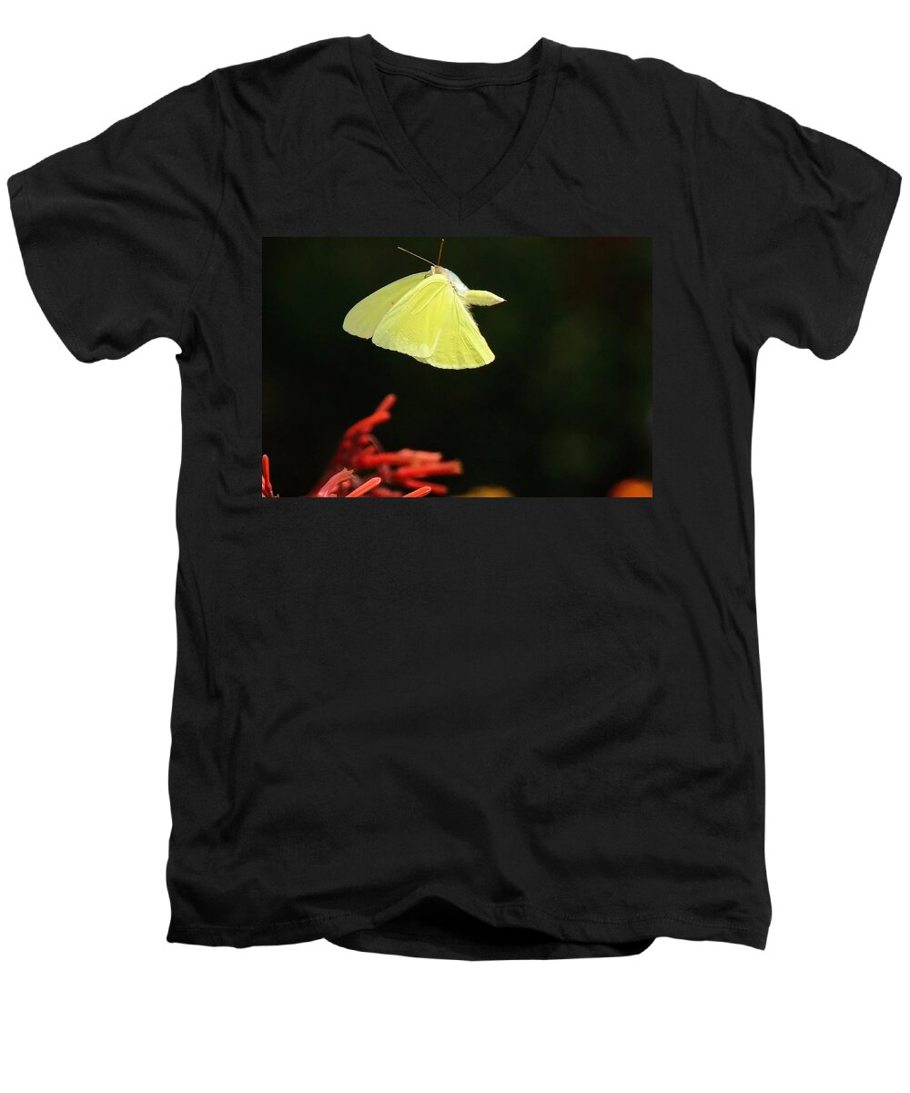 Nature Men's V-Neck T-Shirt featuring the photograph Flight by Charlotte Schafer