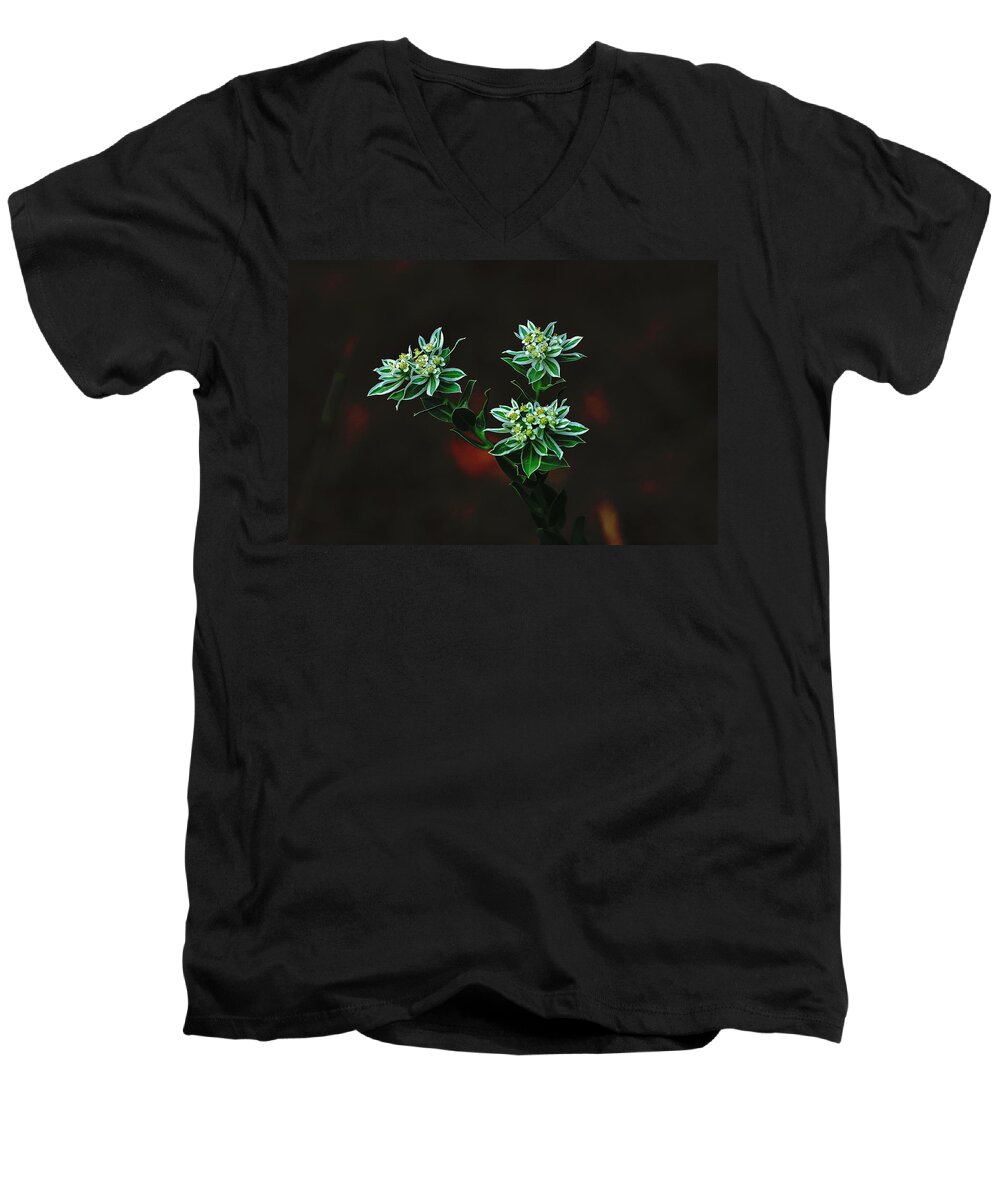 Flowers Men's V-Neck T-Shirt featuring the photograph Floating Petals by John Johnson