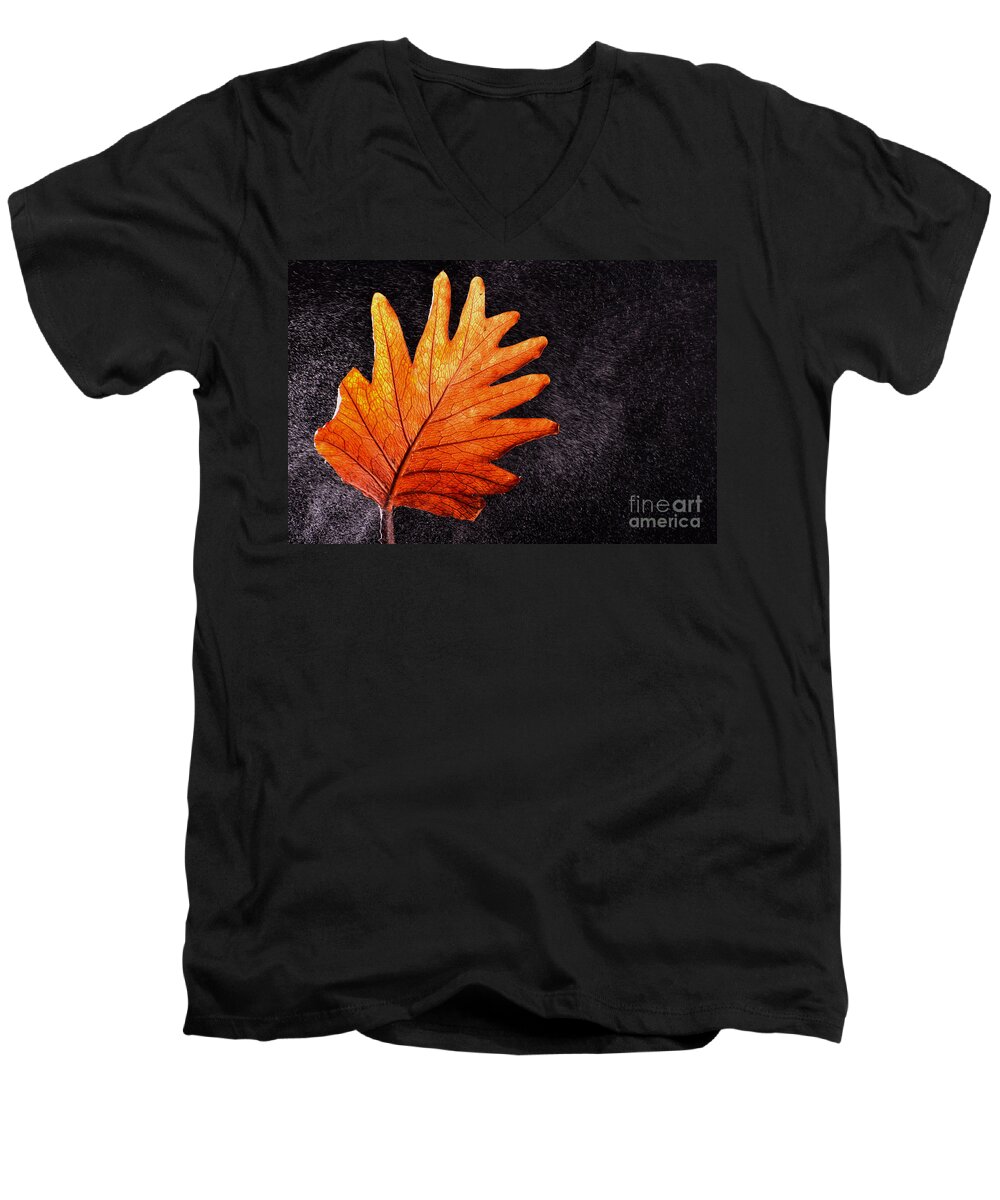 Rain Men's V-Neck T-Shirt featuring the photograph Flower grows in rain by Manjot Singh Sachdeva