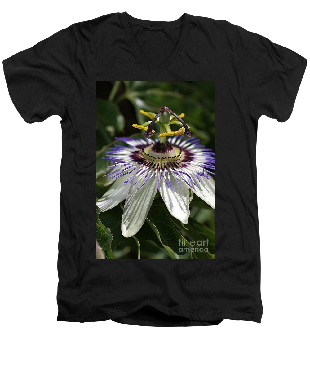 Flower Men's V-Neck T-Shirt featuring the photograph flower-Passionfruit by Joy Watson