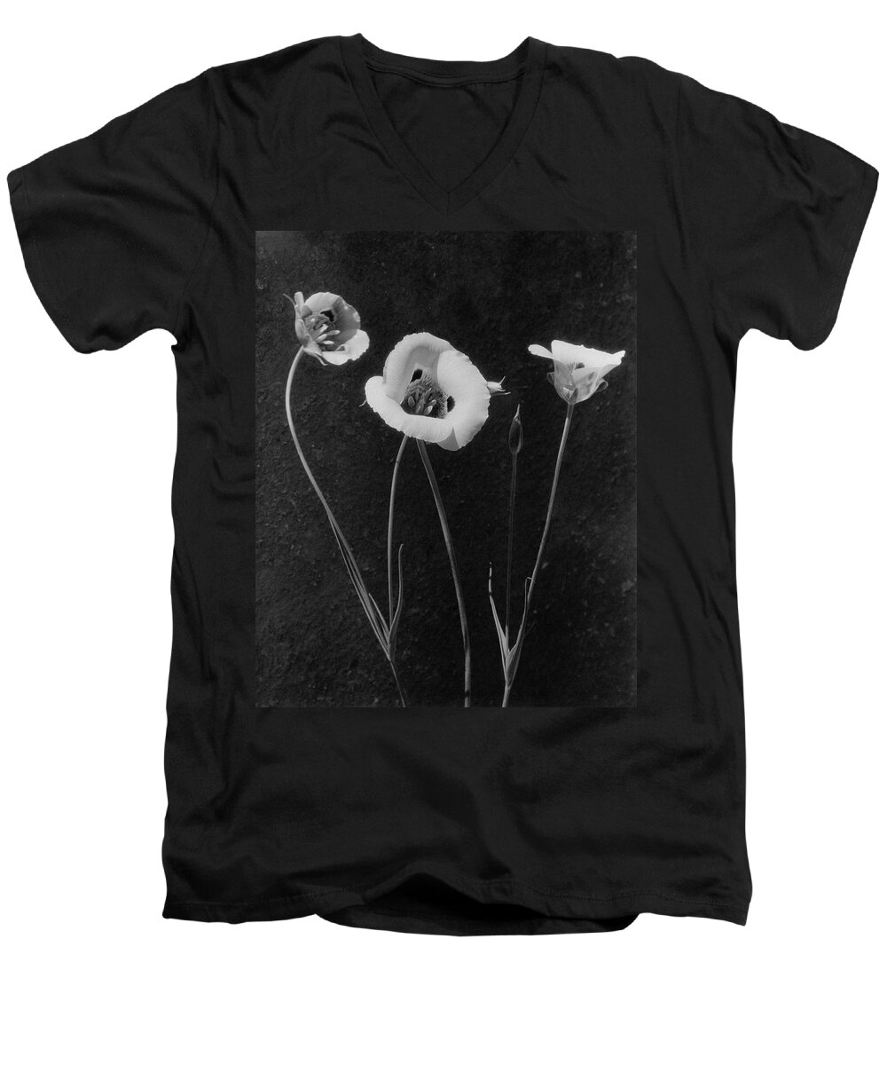 Exterior Men's V-Neck T-Shirt featuring the photograph Flowers In Louise Beebe Wilder's Garden by Harry G. Healy