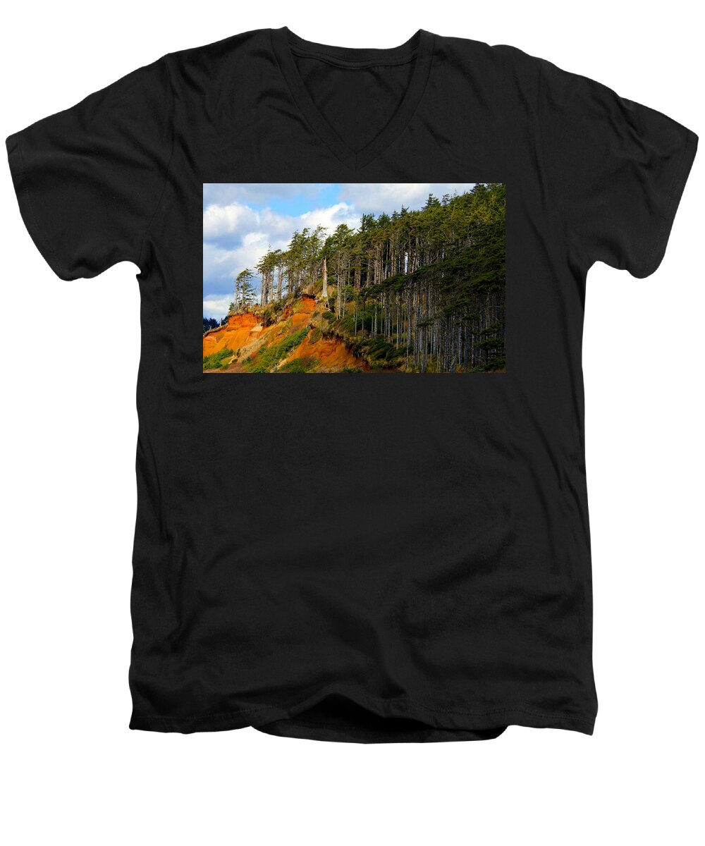 Landscape Men's V-Neck T-Shirt featuring the photograph Frozen In Time by Jeanette C Landstrom