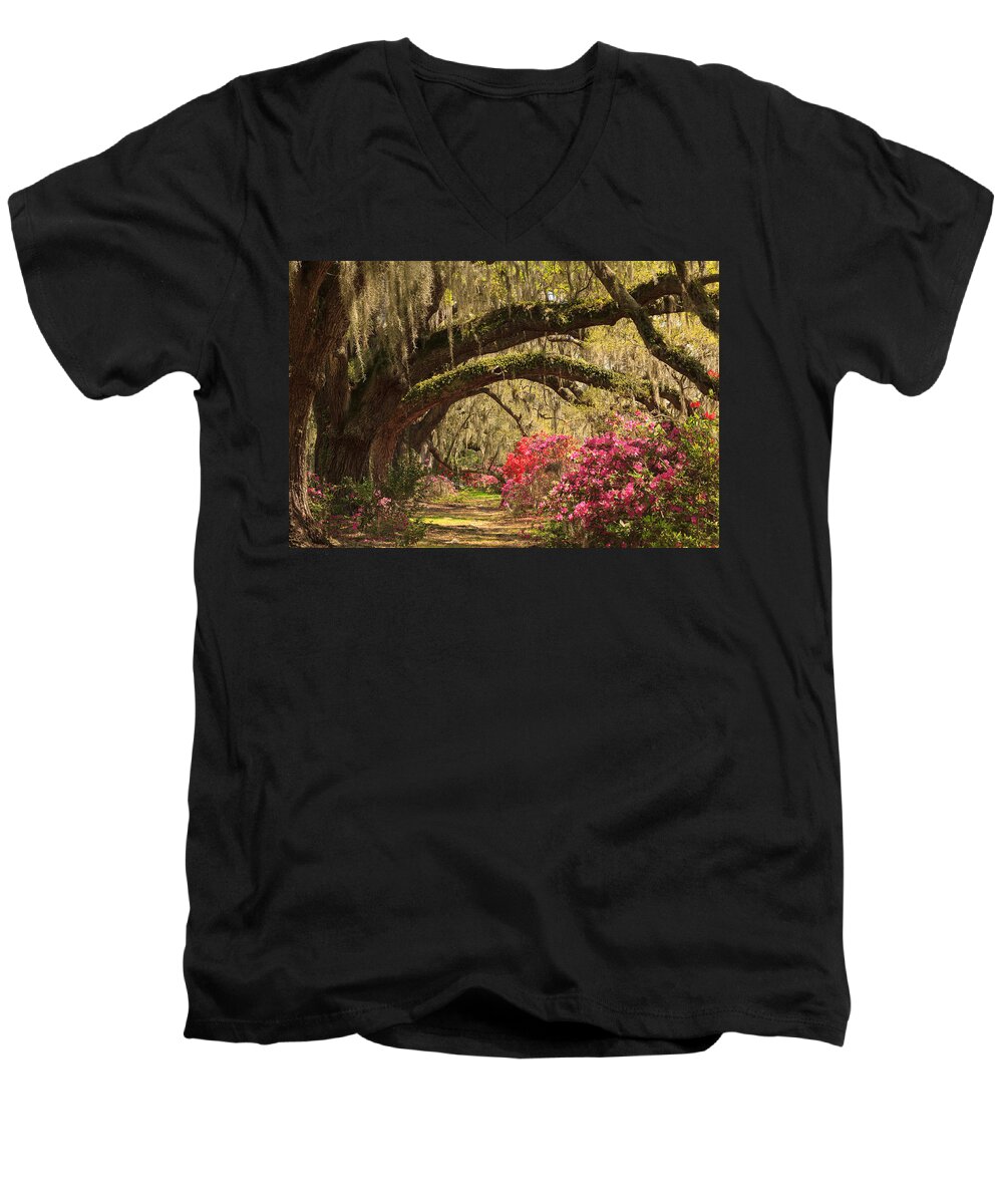 Magnolia Plantation And Gardens Men's V-Neck T-Shirt featuring the photograph Garden View by Patricia Schaefer
