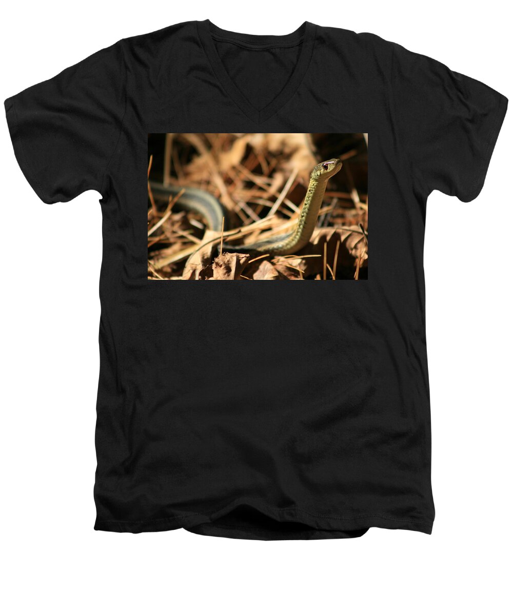 Snake Photography Men's V-Neck T-Shirt featuring the photograph Garter View by Neal Eslinger