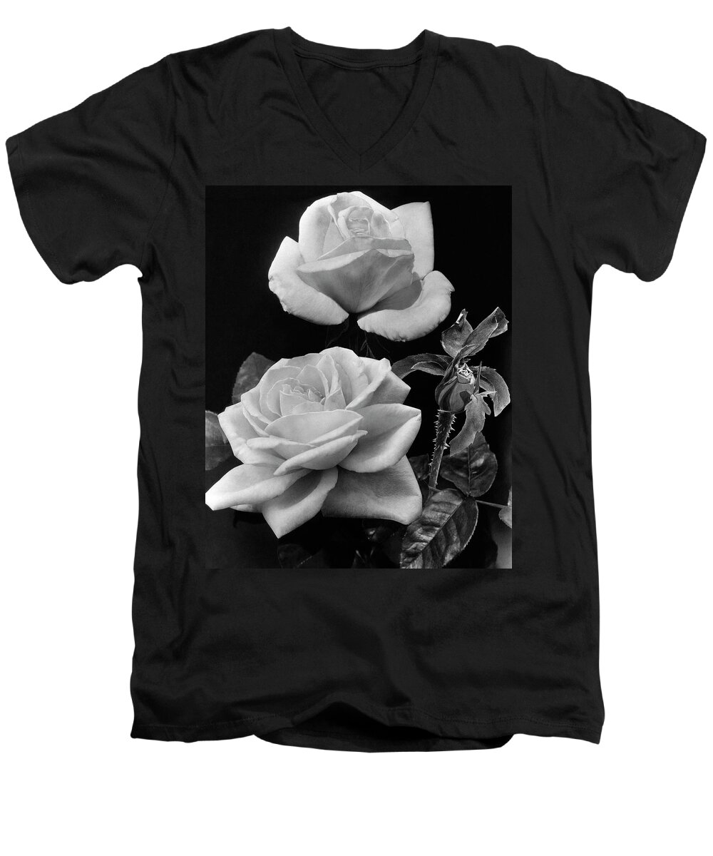 Flowers Men's V-Neck T-Shirt featuring the photograph 'george Arends' Roses by J. Horace McFarland