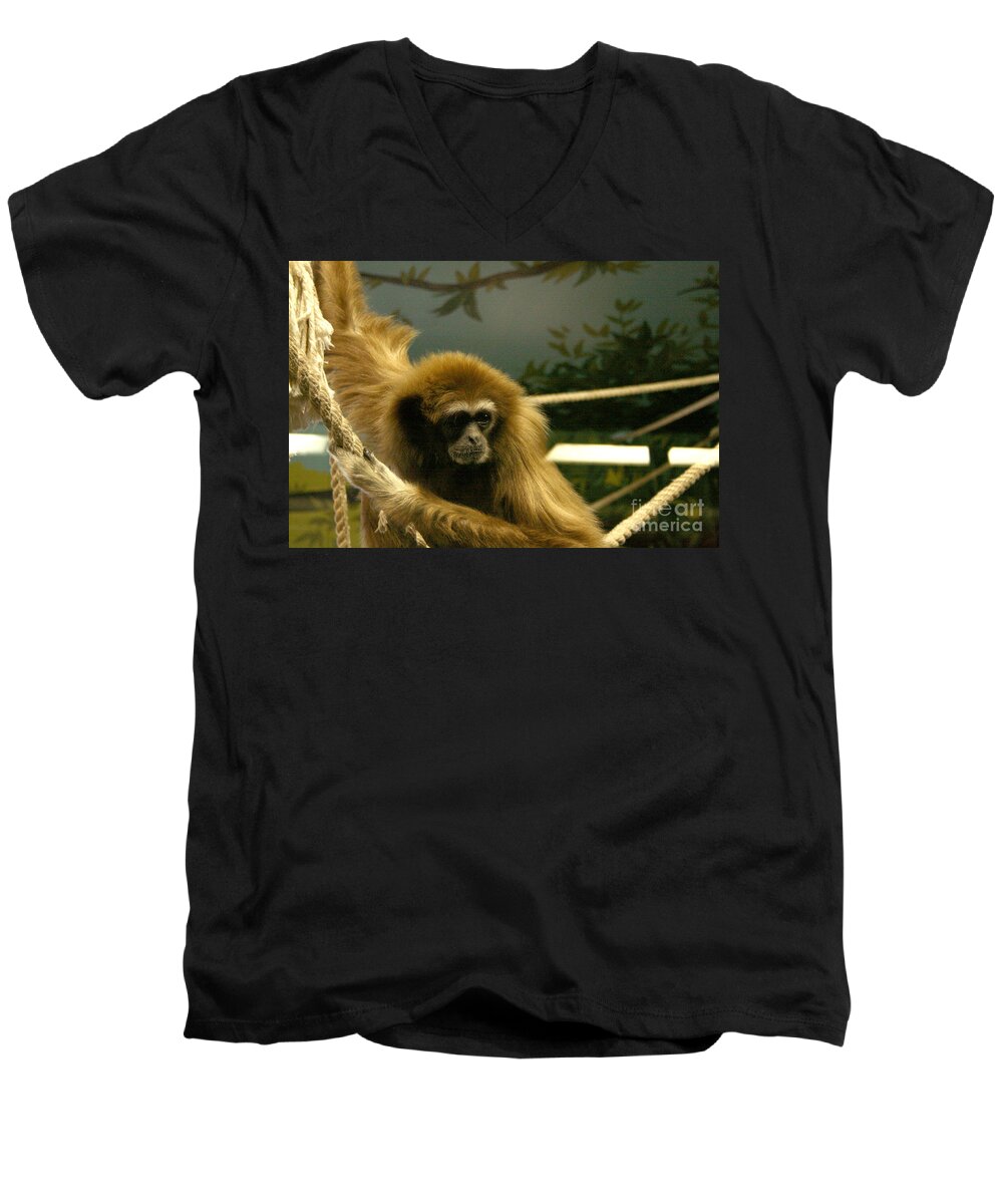 Primate Men's V-Neck T-Shirt featuring the photograph Gibbon Looking Intently by Mary Mikawoz