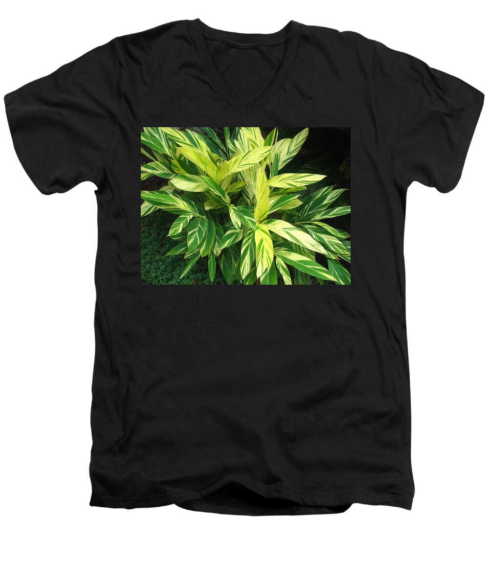 Ginger Lily Men's V-Neck T-Shirt featuring the photograph Ginger Lily. Alpinia Zerumbet by Connie Fox