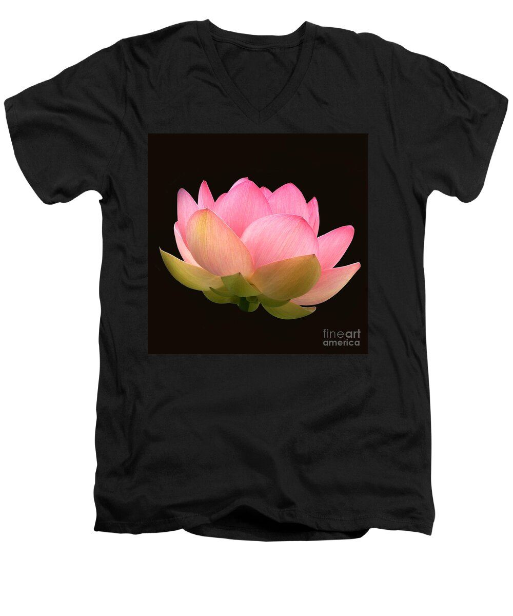 Glowing Pink Lotus Flower Men's V-Neck T-Shirt featuring the photograph Glowing Lotus Square Frame by Byron Varvarigos