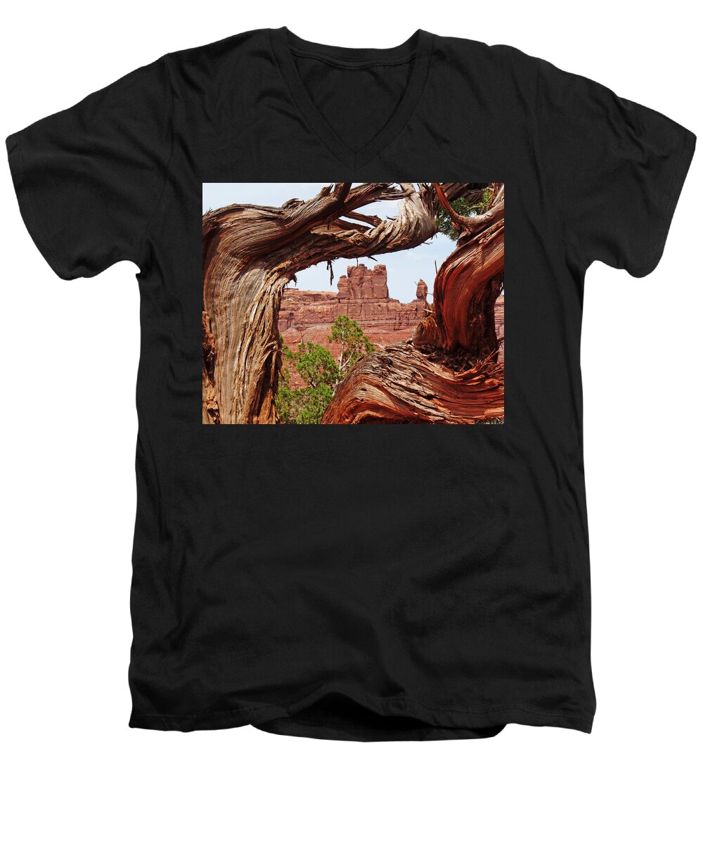 Gnarly Men's V-Neck T-Shirt featuring the photograph Gnarly Tree by Alan Socolik