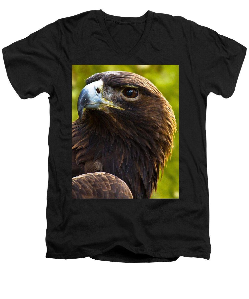 Golden Eagle Men's V-Neck T-Shirt featuring the photograph Golden Eagle by Robert L Jackson