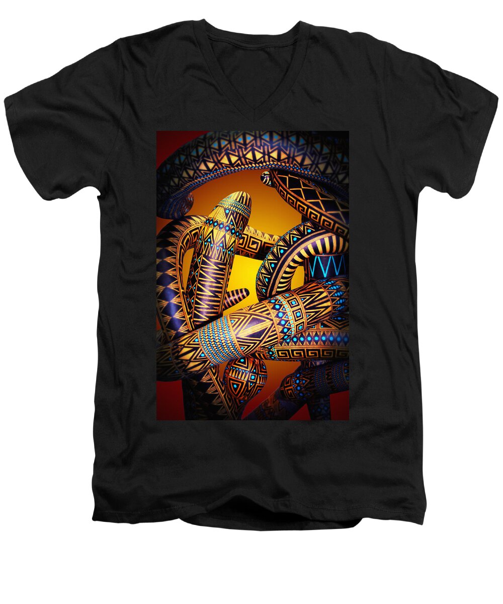 Gourd Men's V-Neck T-Shirt featuring the photograph Gourd Snake by Daniel George