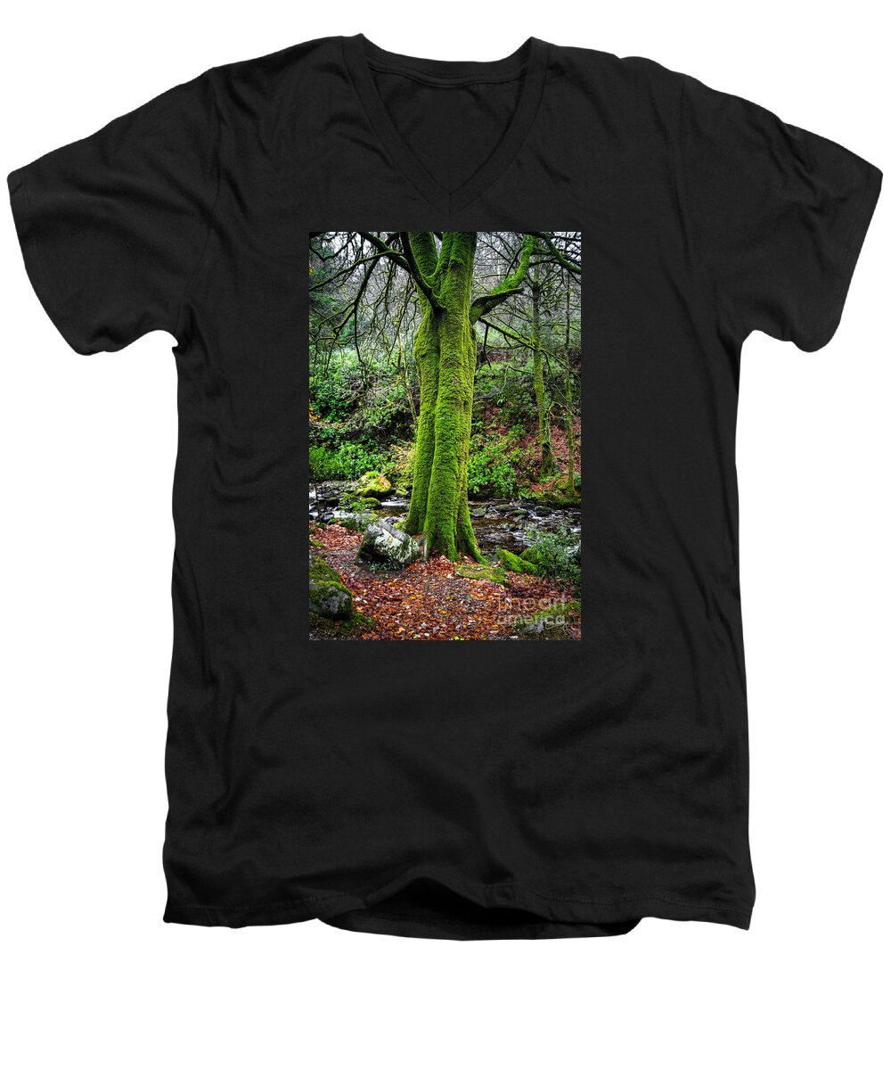 Green Moss Men's V-Neck T-Shirt featuring the photograph Green Green Moss by Imagery by Charly