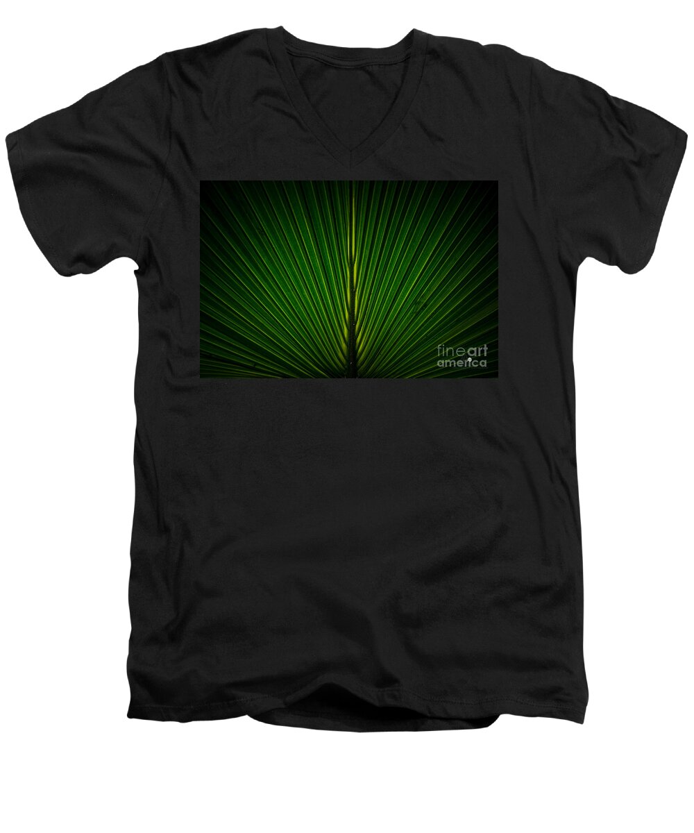 Green Men's V-Neck T-Shirt featuring the photograph Green by Ronald Grogan