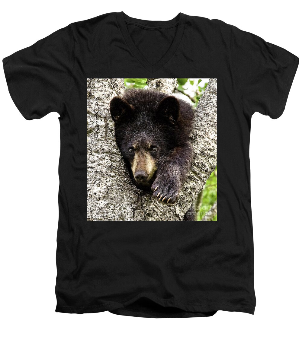 Bear Men's V-Neck T-Shirt featuring the photograph Hanging Out by Jan Killian