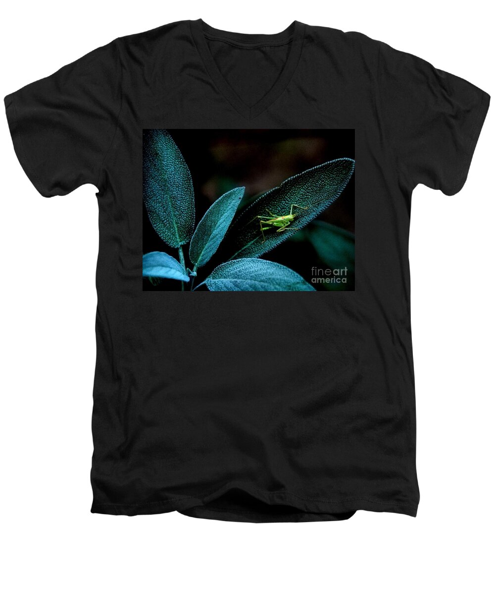 Sage Men's V-Neck T-Shirt featuring the photograph Hey I'm trying to Hide by Debra Fedchin
