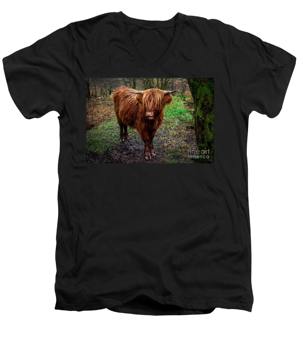Highland Cow Men's V-Neck T-Shirt featuring the photograph Highland Beast by Adrian Evans