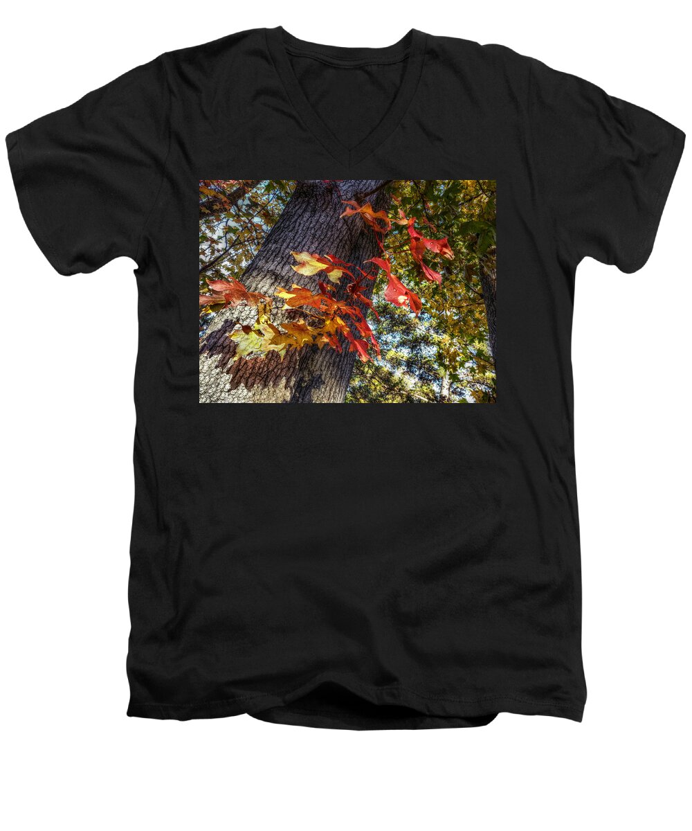 Red Leaves Men's V-Neck T-Shirt featuring the digital art Hints of Fall by Linda Unger