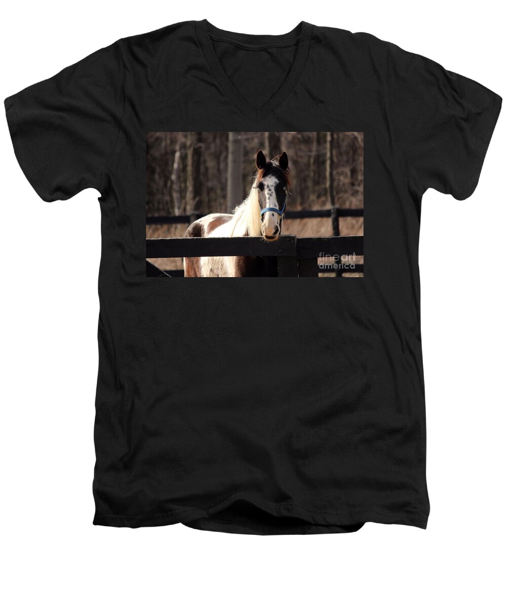 Horse Men's V-Neck T-Shirt featuring the photograph Horse at the Gate by Janice Byer