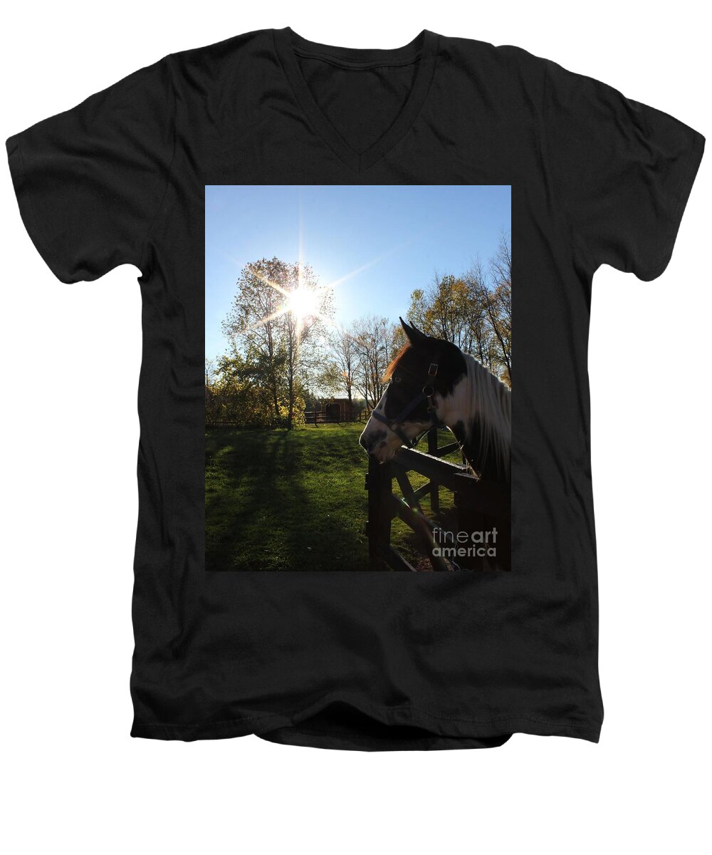 Horse Men's V-Neck T-Shirt featuring the photograph Horse with Sunburst by Janice Byer