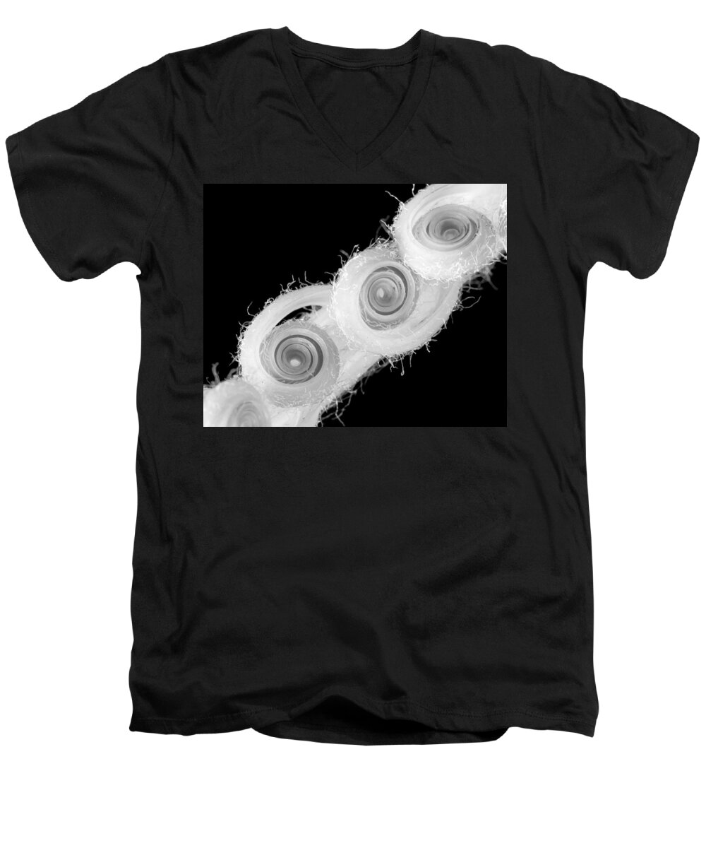 Plant Men's V-Neck T-Shirt featuring the photograph Infrared Sago Palm by Patricia Schaefer