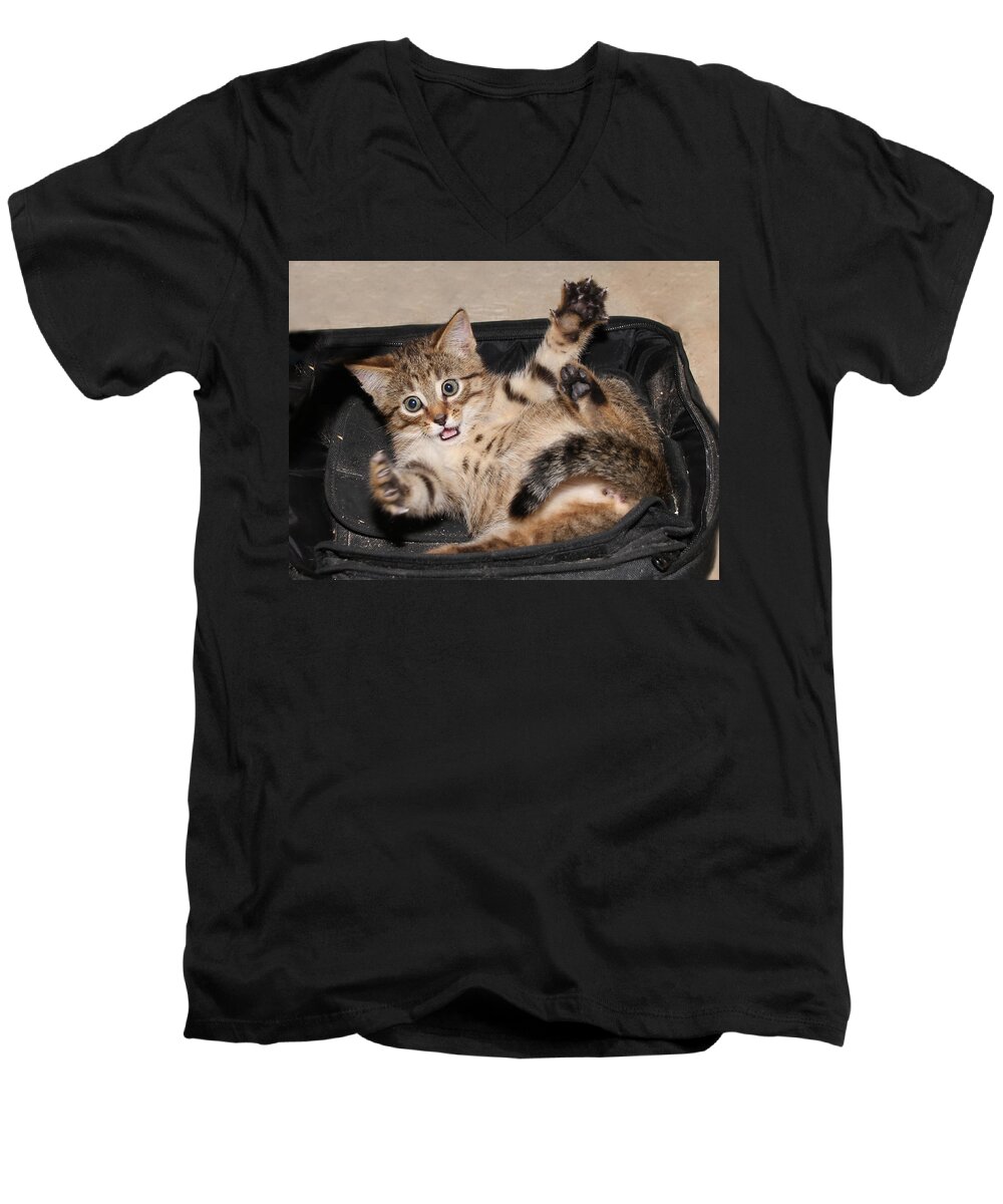 Kitten Men's V-Neck T-Shirt featuring the photograph It was This Big by David Yocum