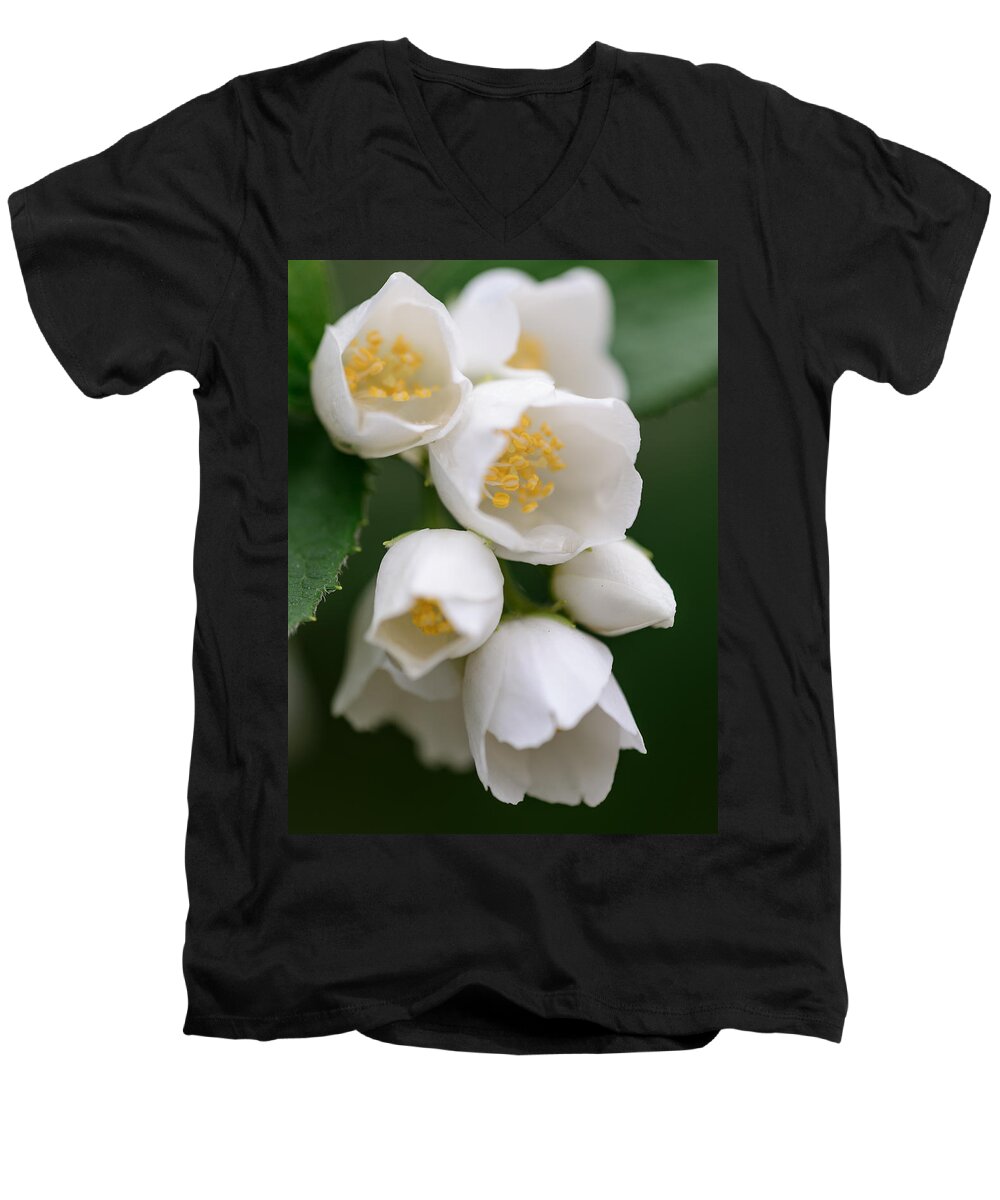 #migophotos Men's V-Neck T-Shirt featuring the photograph Jasmin flowers by Michael Goyberg