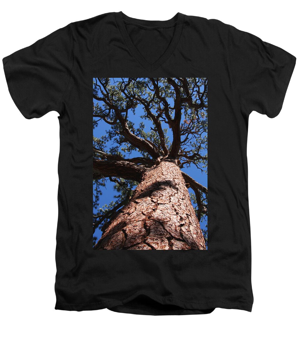 Vertical Men's V-Neck T-Shirt featuring the photograph Jeffrey Pine by Melinda Fawver