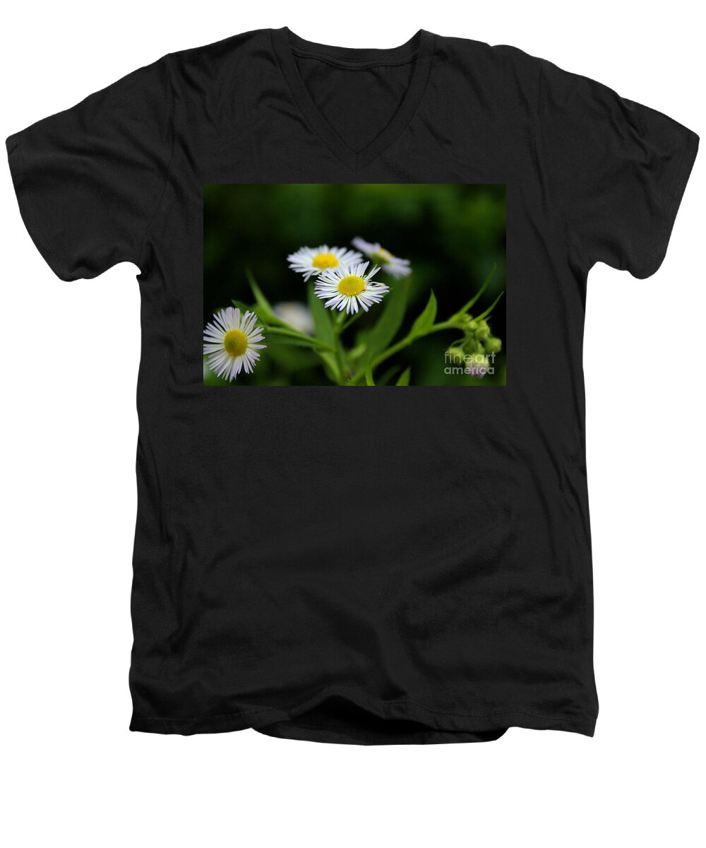 Daisy Men's V-Neck T-Shirt featuring the photograph Late Summer Bloom by Melissa Petrey