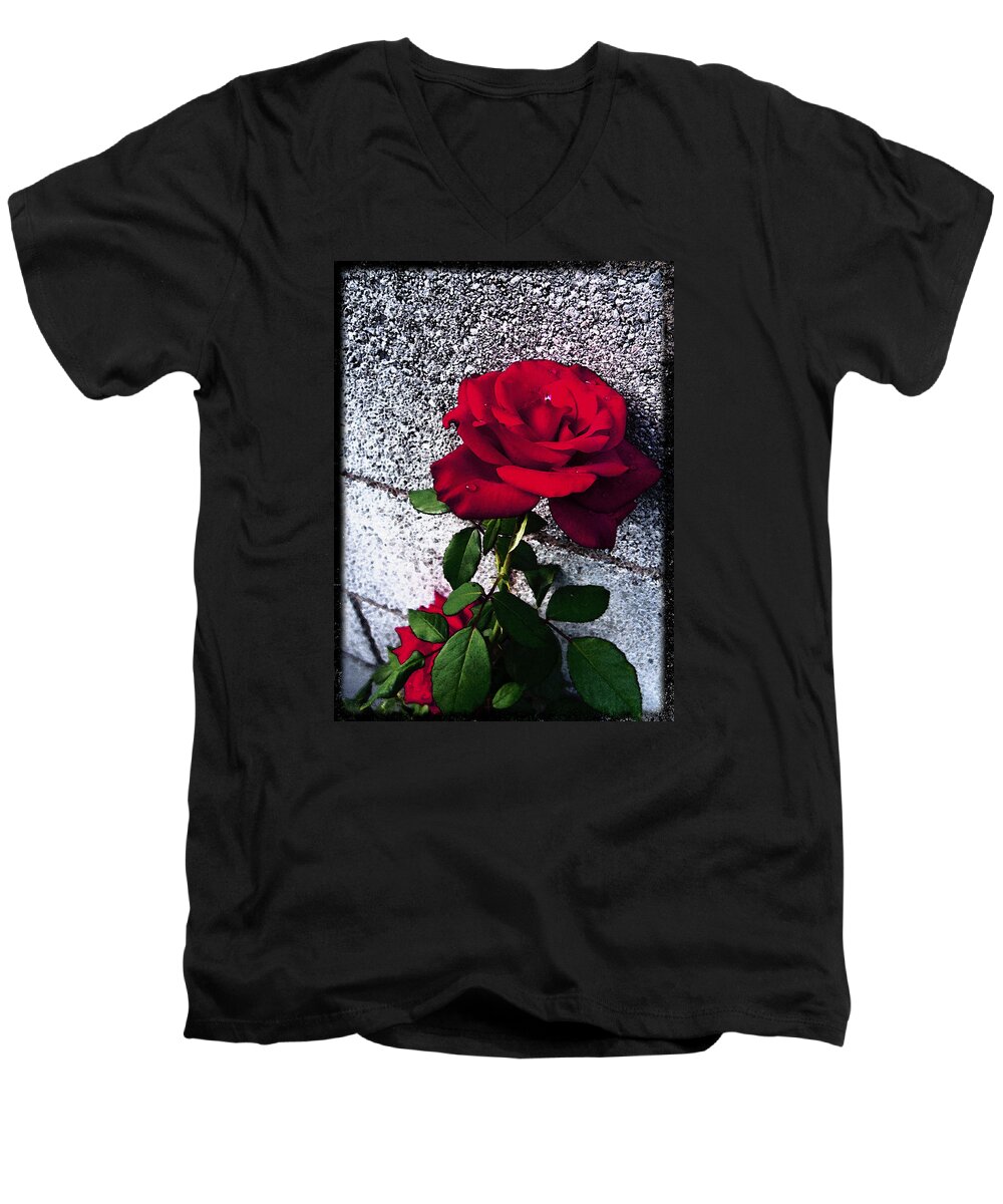 Red Rose Men's V-Neck T-Shirt featuring the photograph Late Summer Rose by Shawna Rowe