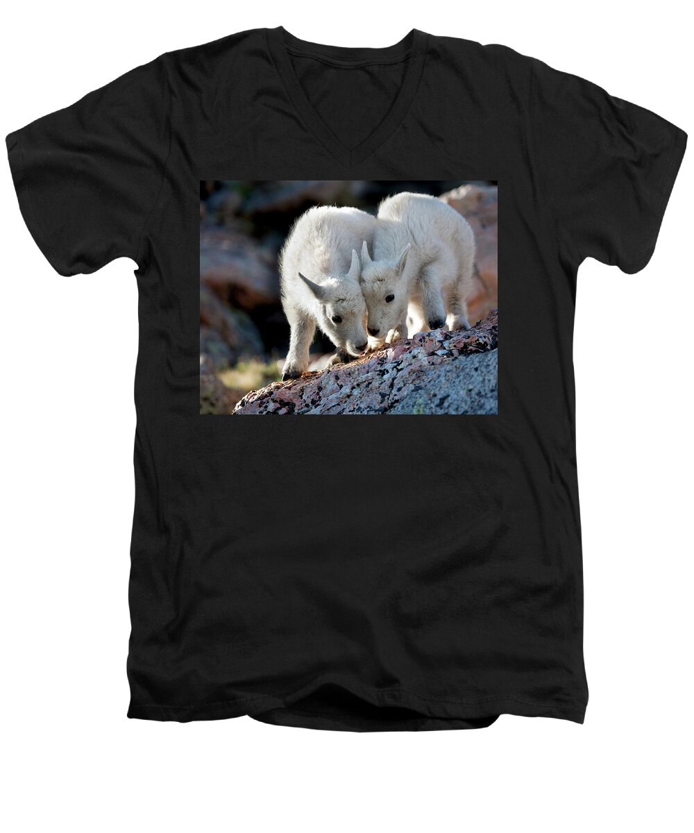 Baby Goat; Mountain Goat Baby; Happy; Joy; Nature; Brothers Men's V-Neck T-Shirt featuring the photograph Lean On Me by Jim Garrison