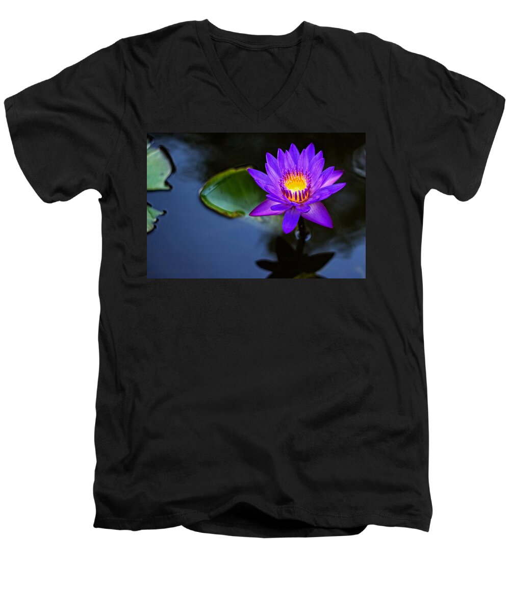 Lily Men's V-Neck T-Shirt featuring the photograph Lily Awakens by Dave Files